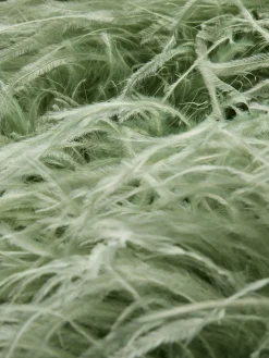 CHANDA FEATHERED VEST