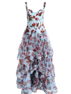 DOROTHEA PRINTED BALLGOWN