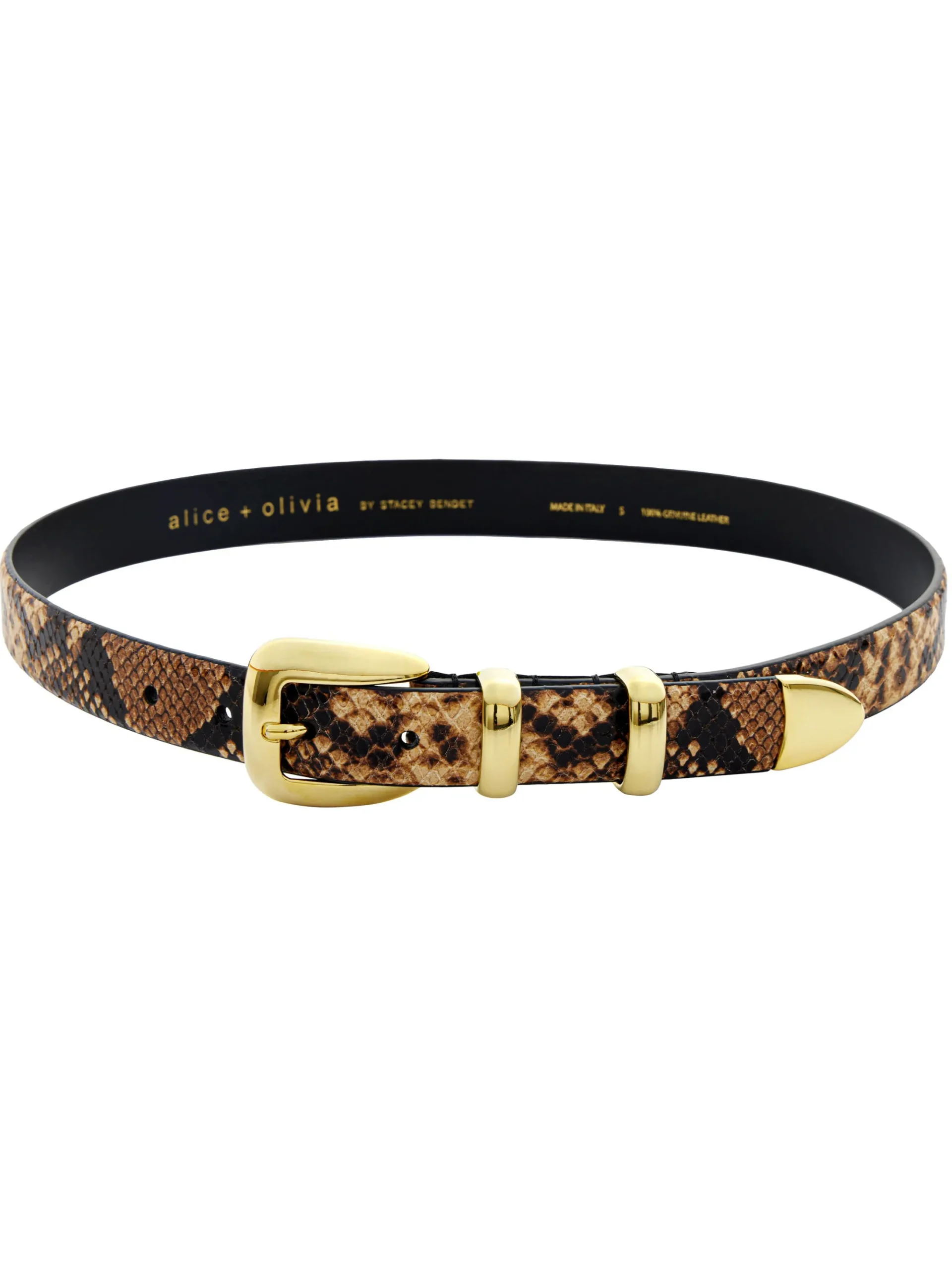 HAYDEN BUCKLE BELT