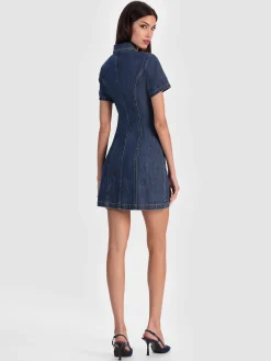 JAMIE DENIM MINI DRESS