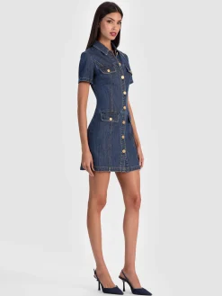 JAMIE DENIM MINI DRESS