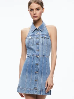 KENDALL DENIM MINI DRESS