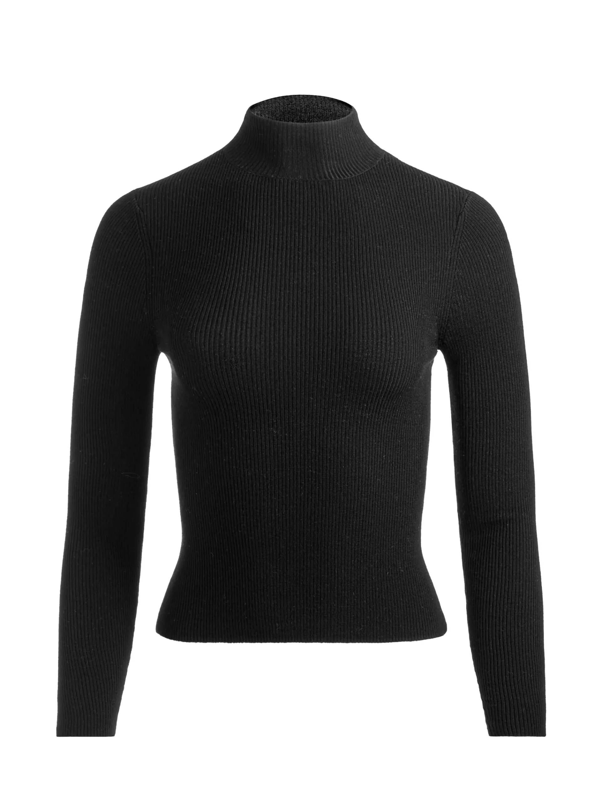 ROBERTA RIBBED TURTLENECK